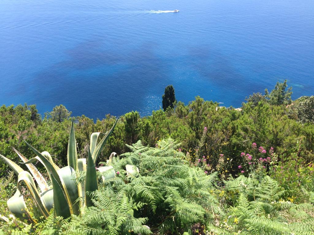 Il Casale Del Giglio Bed and Breakfast Santo Stefano di Magra Eksteriør billede